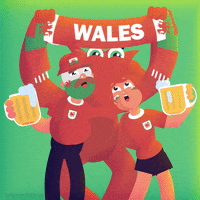 Wales Football Championship GIF by Manne Nilsson