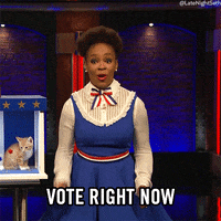 vote right now amber ruffin GIF by Late Night with Seth Meyers