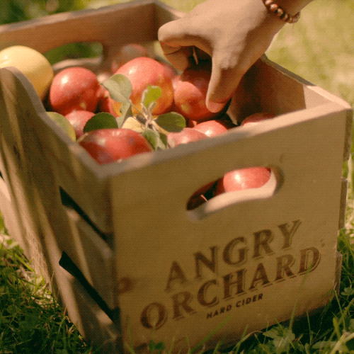 apple cider GIF by Angry Orchard
