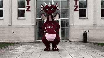 Fc Metz Football GIF