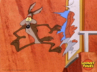 Wile E Coyote Falling Anvil Gif