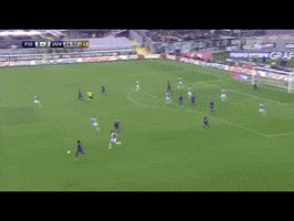 FLC  GIF