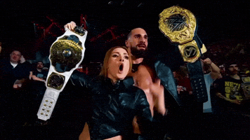 Seth Rollins Wwe GIF