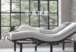 小島睡研所 GIF