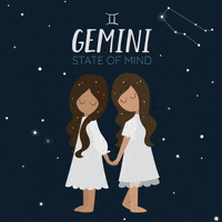 Twins Gemini GIF by evite