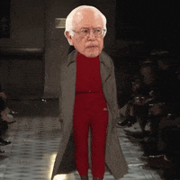 bernie sanders GIF