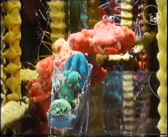 Strangers In Paradise Grocery Shopping GIF by Eternal Family
