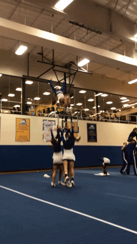 college cheer GIF by Hofstra University