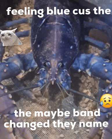 Sad Lobster GIF