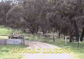 country go GIF by Client Liaison