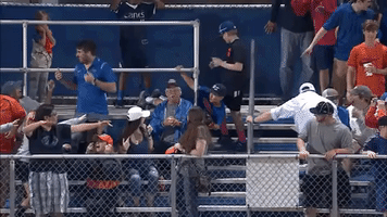 Fans Savage GIF
