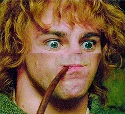 lord of the rings no nose GIF