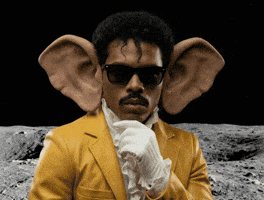 Listen Big Ears GIF by Jukebox Saints