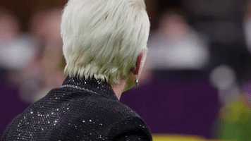 westminster dog show 7 days out GIF by Sony Pictures Television