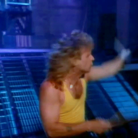 Music Video Love In An Elevator GIF by Aerosmith