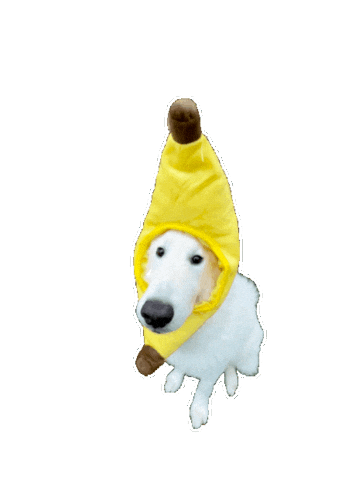 Banana Funny Dog Sticker