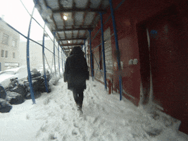 pandascoffee winter storm jonas 1/2016 GIF