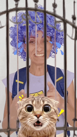 Uma Ju No Pedaço GIF