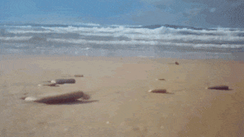 Lindsay Lohan Reaction GIF by sam gurry
