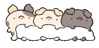 Pig Piggy Sticker by BREAD TREE