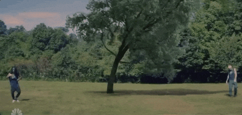 trees moving gif
