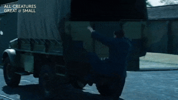 Greatescape GIF by All Creatures Great And Small