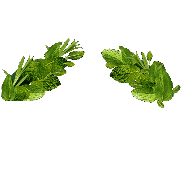 Crown_Rosemary_Mint_Choppy Sticker by Aveda