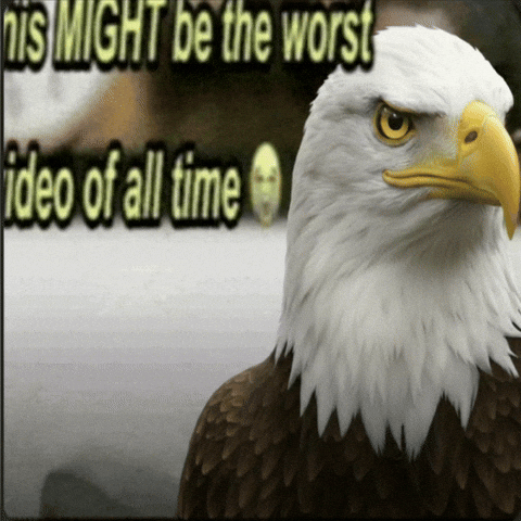 Worst Video GIF