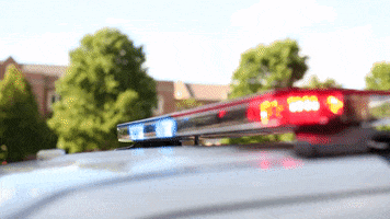 Police Campo GIF by Roanoke College