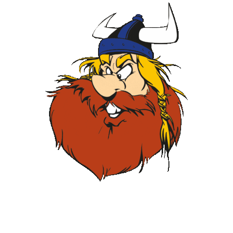 TVZ Wikings Sticker