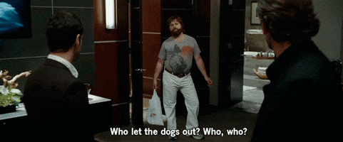the hangover friends GIF