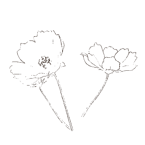Flower Sticker