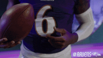 Football Celebrate GIF by Baltimore Ravens