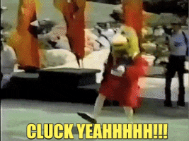 San Diego Chicken Happy Celebrate GIF