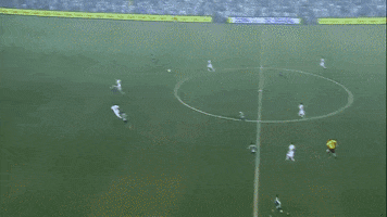luizvendraminandreassa  GIF