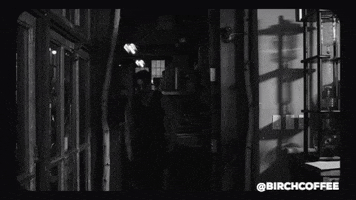 silent film what GIF by Birch Coffee