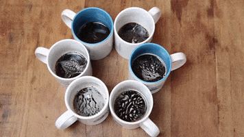 Coffee Programming GIF by Udacity Brasil
