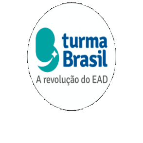 Turma Brasil Sticker