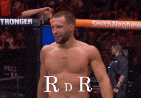 Ufc Mma GIF
