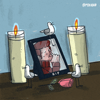 200.gif?cid=fc005b0801ed284953c87362e674d852d5638f6539d13ad1&rid=200.gif&ct=g