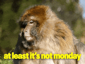 Friday Sunday GIF by Sealed With A GIF