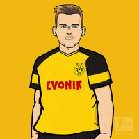 bundesliga-bvb-borussia-dortmund-3JQwUrFCpyVsr33FGG