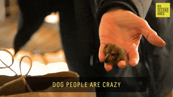 dogs dogpeople GIF by indigenous-media
