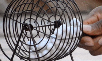 winner bingo GIF by DC Fray