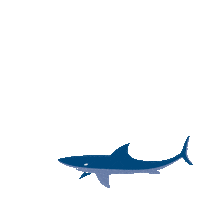 Haus Des Meeres Love Sticker