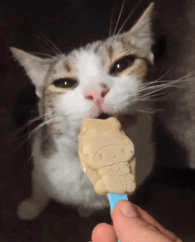 Licking Nom Nom GIF