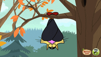 dress up nature cat GIF by PBS KIDS