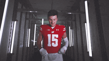 Football Brush Off GIF by Wisconsin Badgers