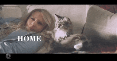 home with my cat GIF by Saturday Night Live