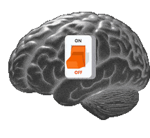 Souerg Sticker by ERG Desenvolvimento